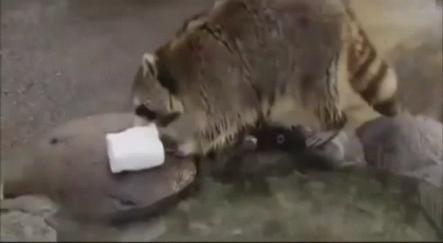 Also my attempt to make 1 bit PNG with Malayalam